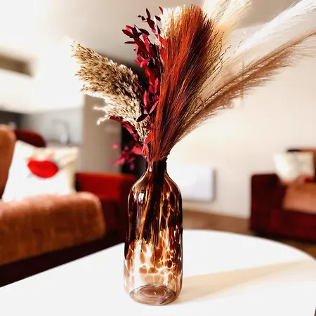 Le Terracotta Cocon Moderne A 2 Pas De La Gare Ligne Directe Geneve-lyon-paris